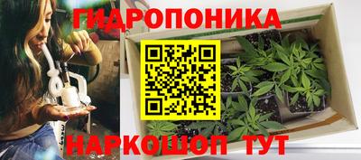 прущие грибы Донецк