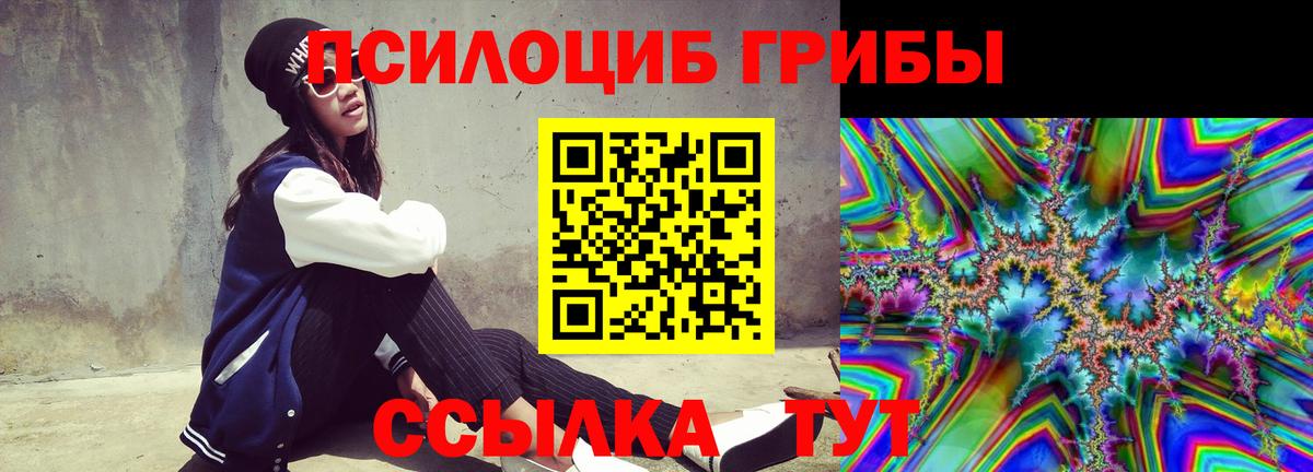 Магнитогорск  Галлюциногенные грибы GOLDEN TEACHER  Вход с VPN  Псилоцибиновые грибы Psilocybe 